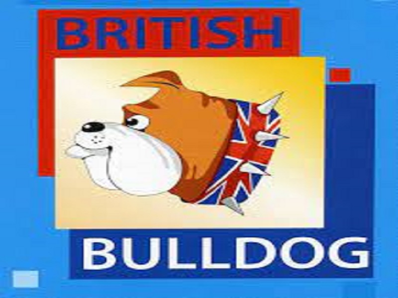 конкурс по английскому языку «British Bulldog».